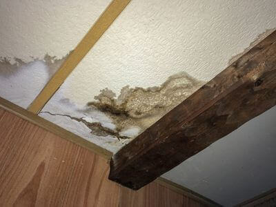Professional water damage restoration services in Woodstock, AL - Prime Water Damage Services